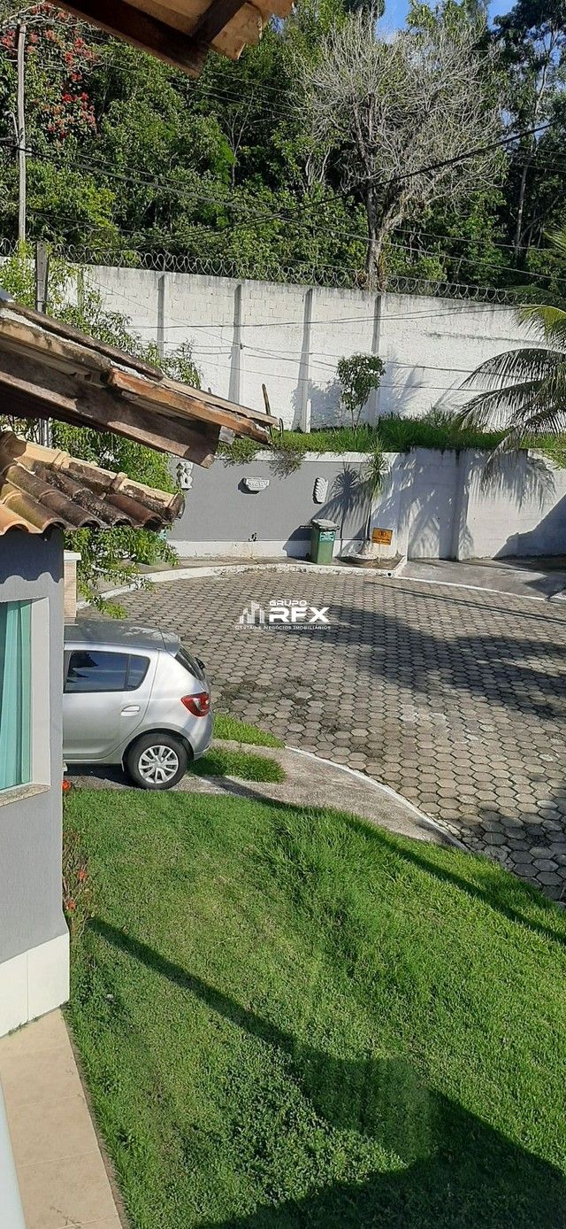 img20610157
