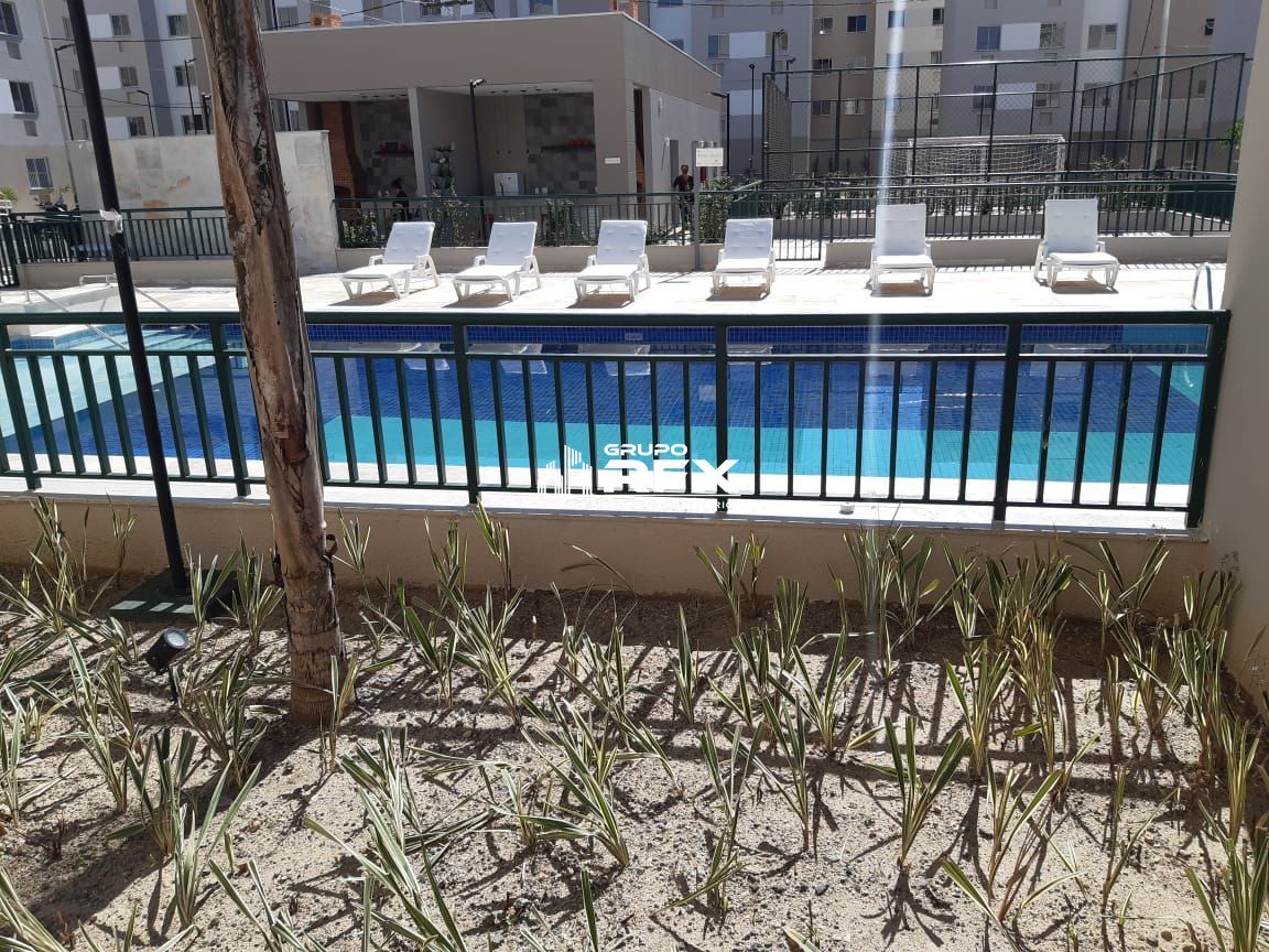 img12001383