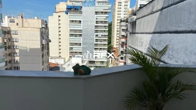 img28795067
