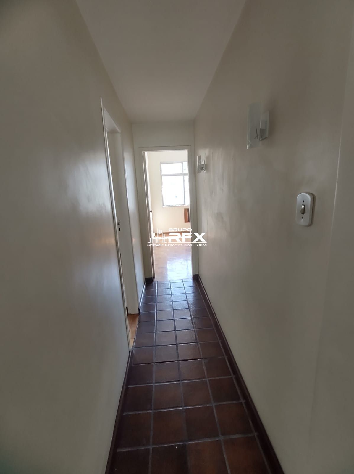 img19694984