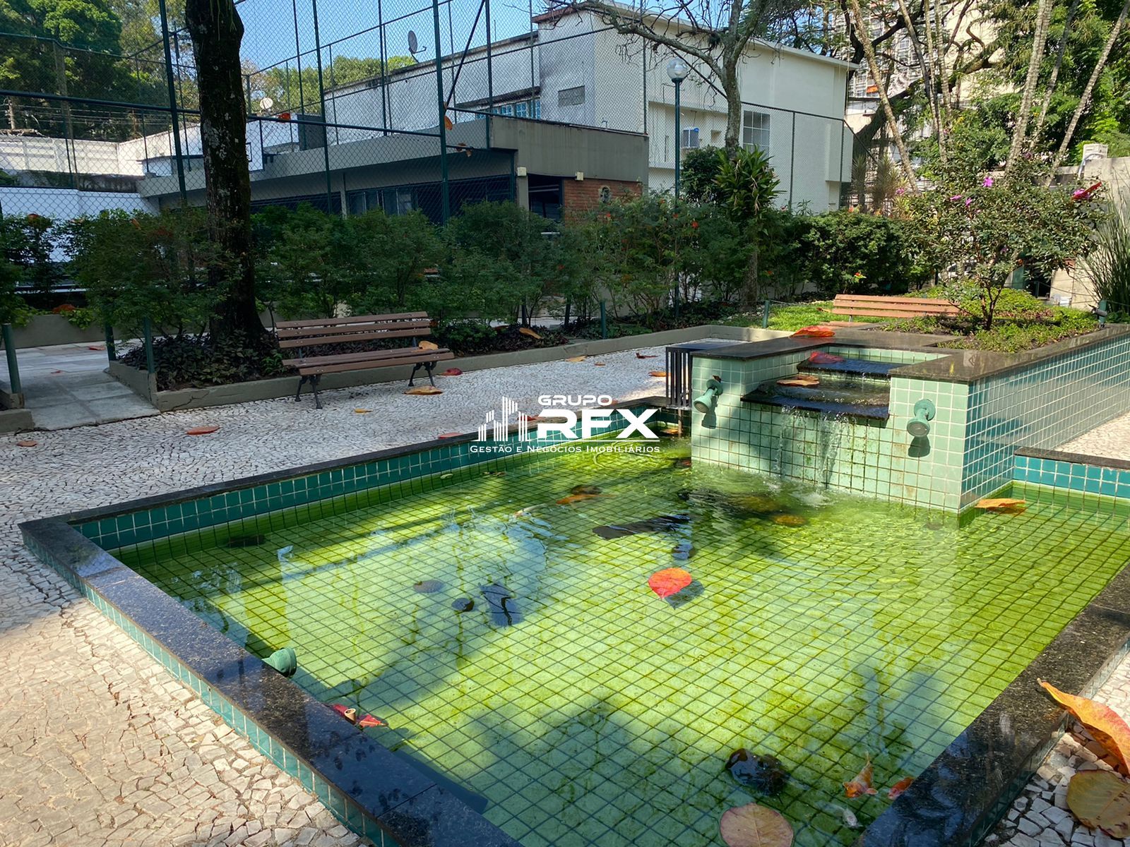 img22246101