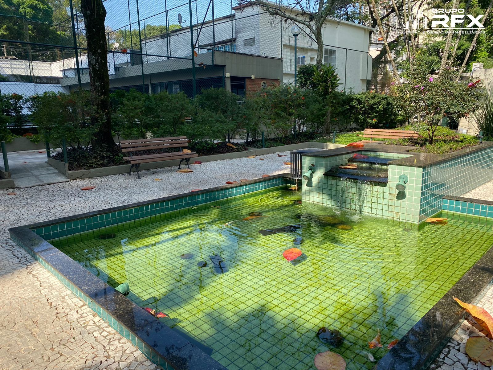 img22246101