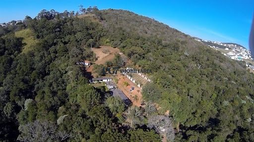 Terreno à venda, 10000m² - Foto 19