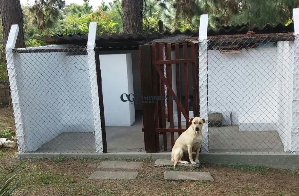 Fazenda à venda com 3 quartos, 340m² - Foto 27