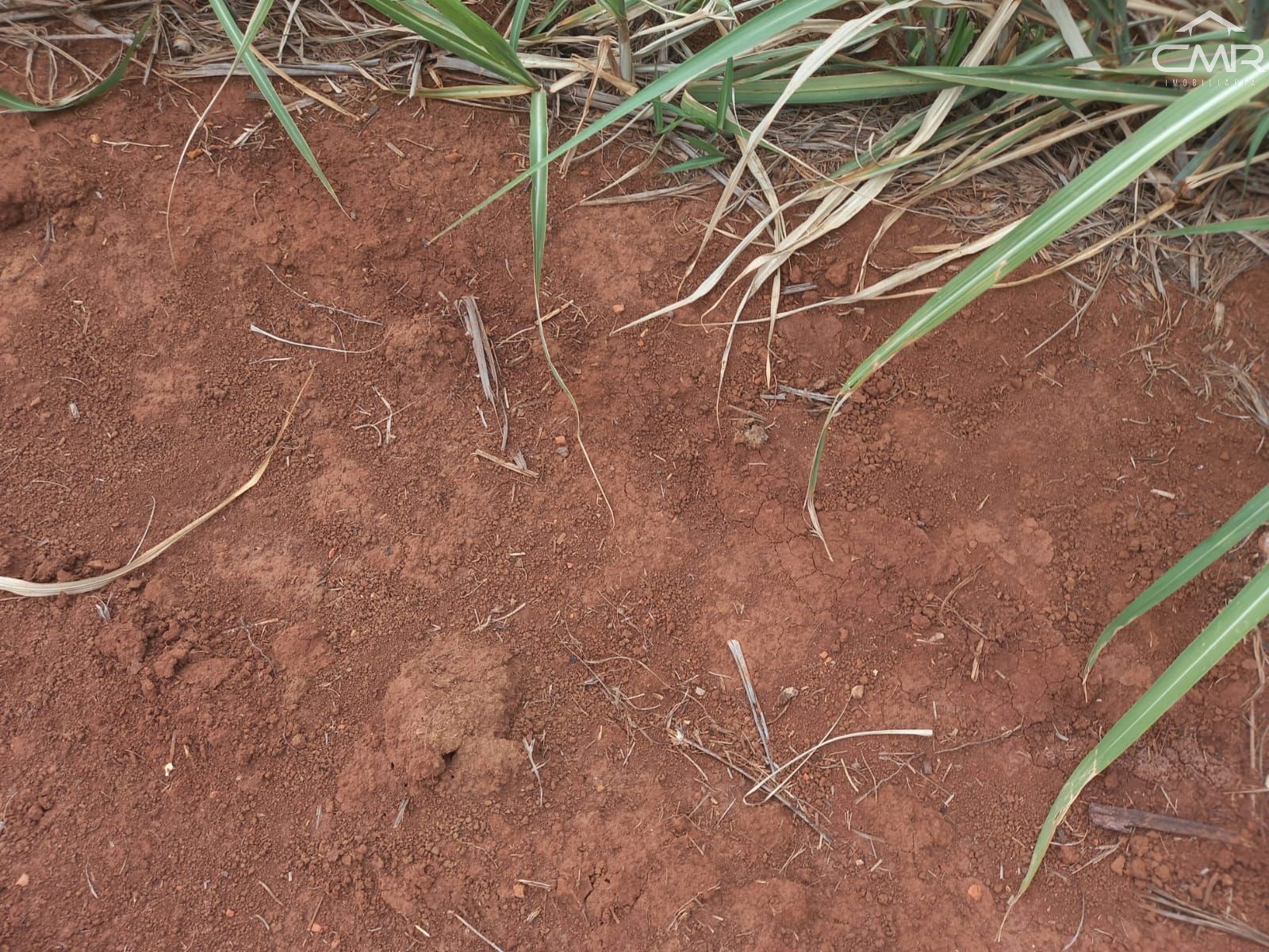 Loteamento e Condomínio, 36300 hectares - Foto 2