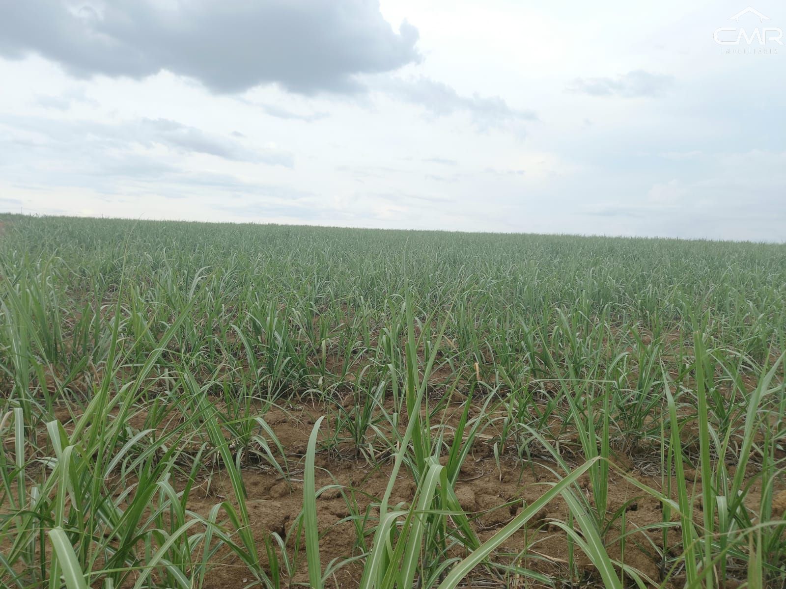 Loteamento e Condomínio, 36300 hectares - Foto 1