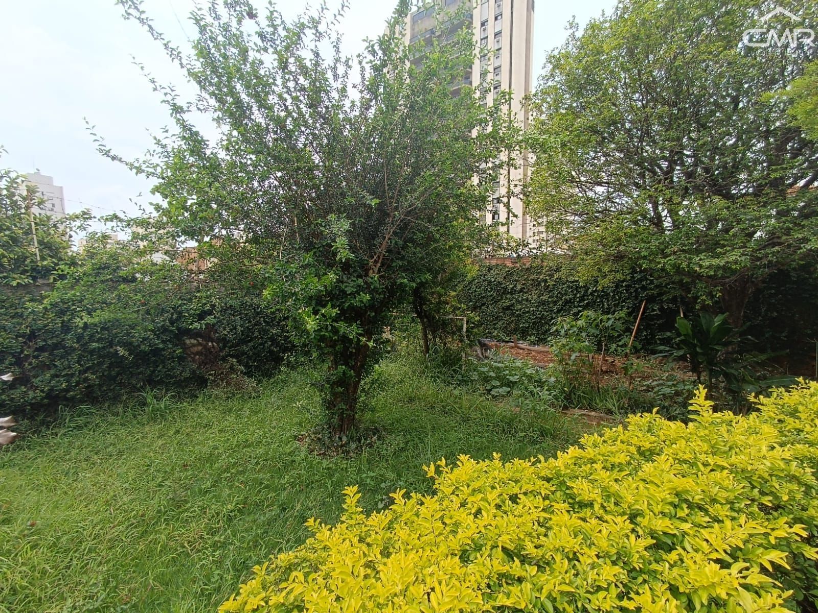 Casa, 3 quartos, 232 m² - Foto 34