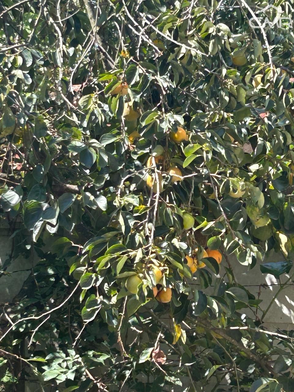 Terreno, 2100 m² - Foto 15