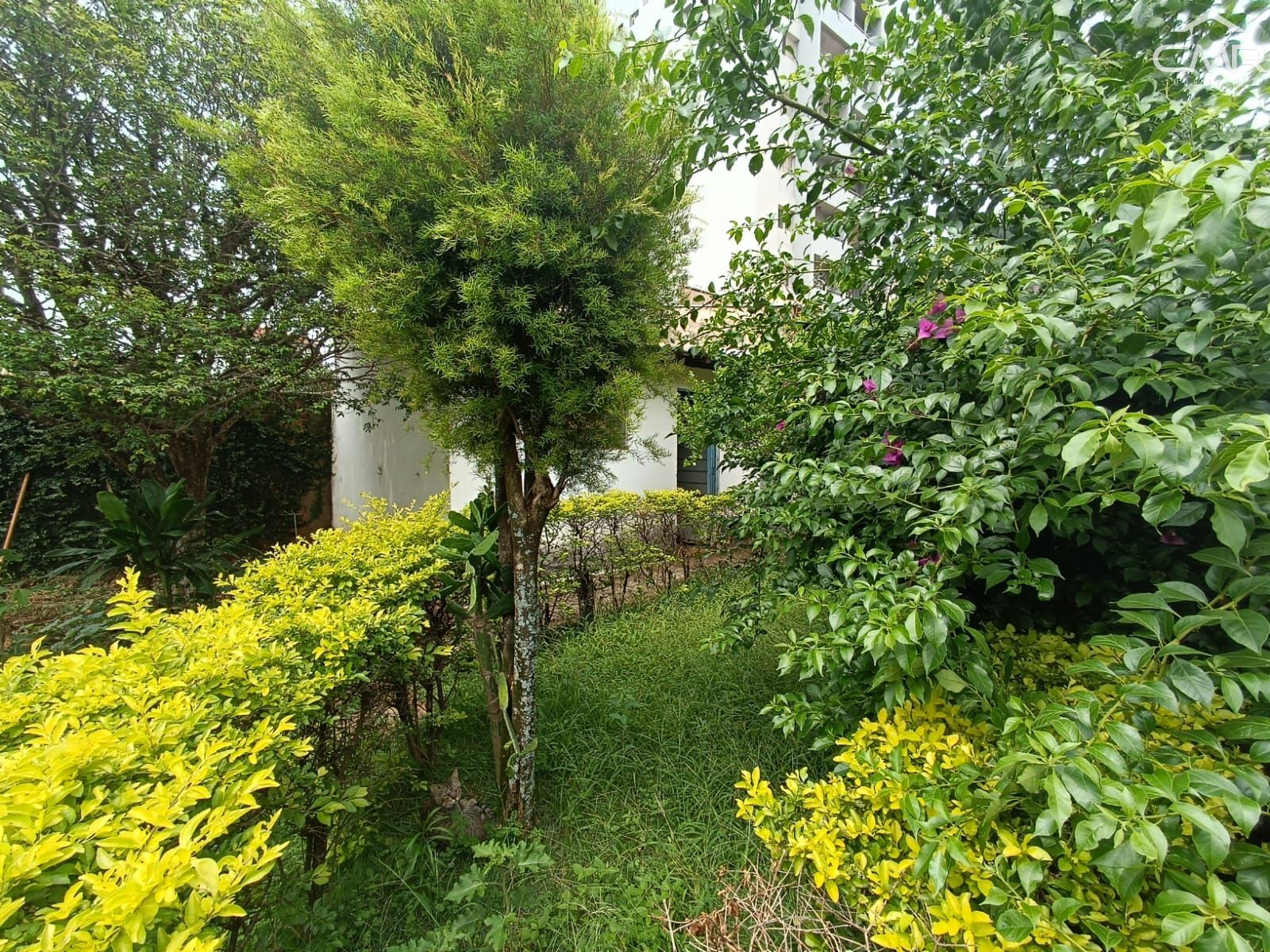 Casa, 3 quartos, 232 m² - Foto 32