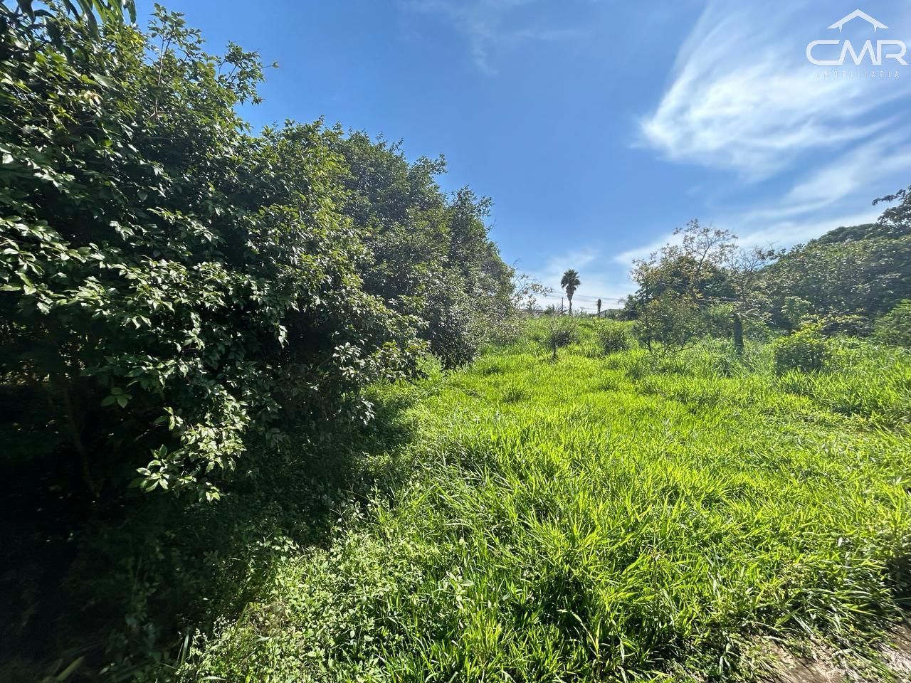 Terreno, 2100 m² - Foto 12