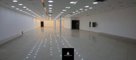 Loja-Salão para alugar com 1 quarto, 708m² - Foto 3