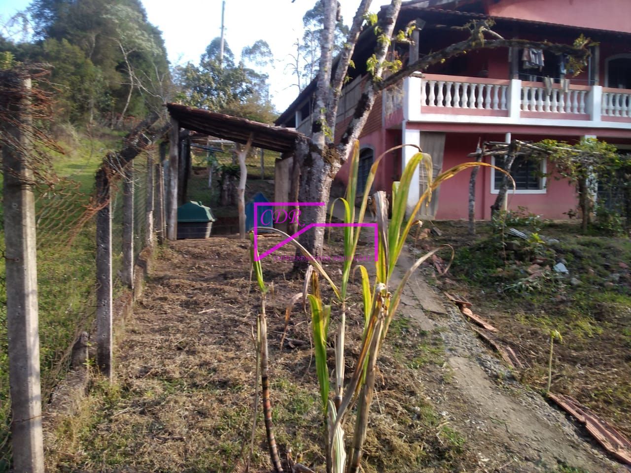 Fazenda à venda com 3 quartos, 1600m² - Foto 6