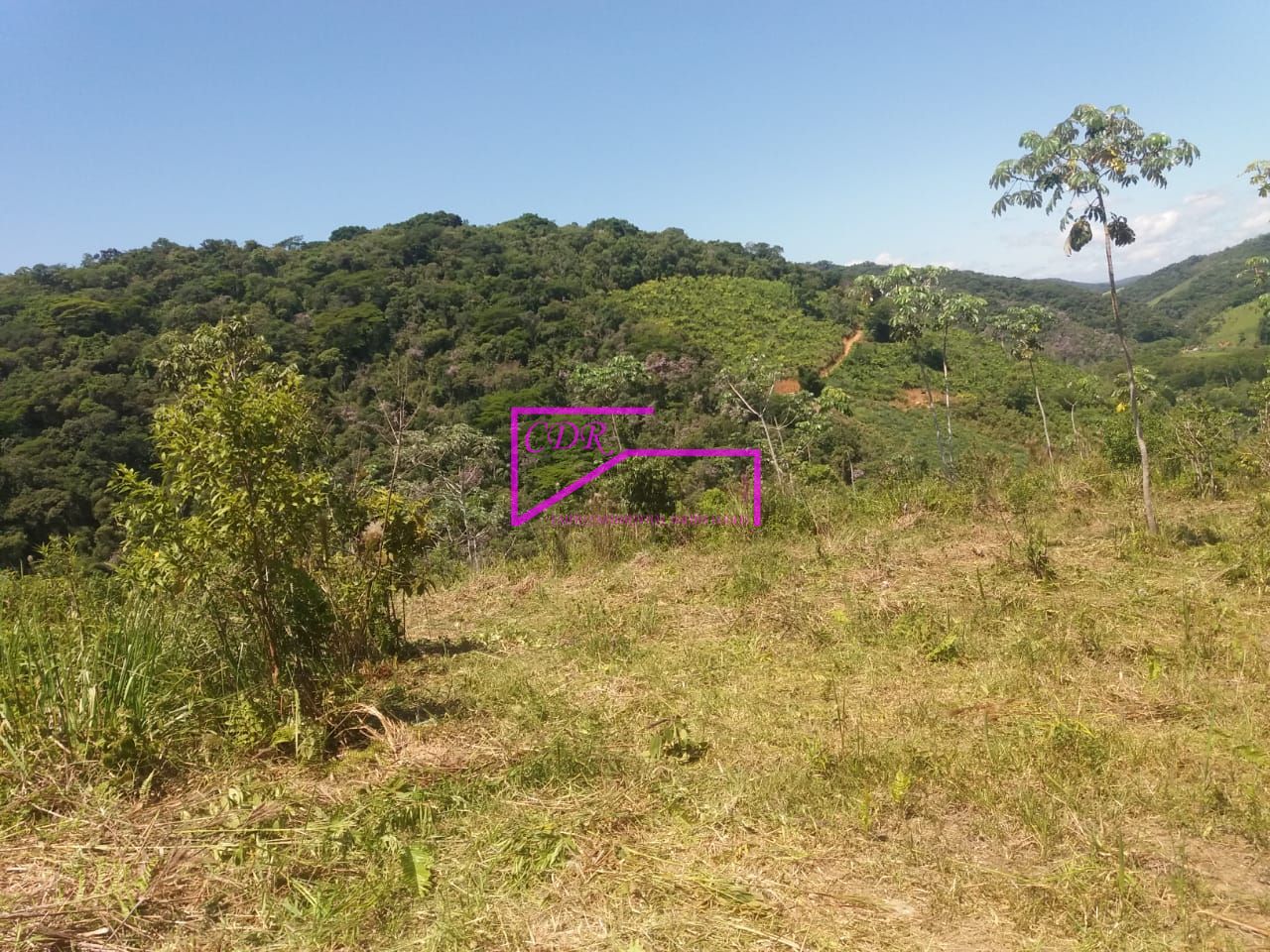 Fazenda à venda com 1 quarto, 89440m² - Foto 35