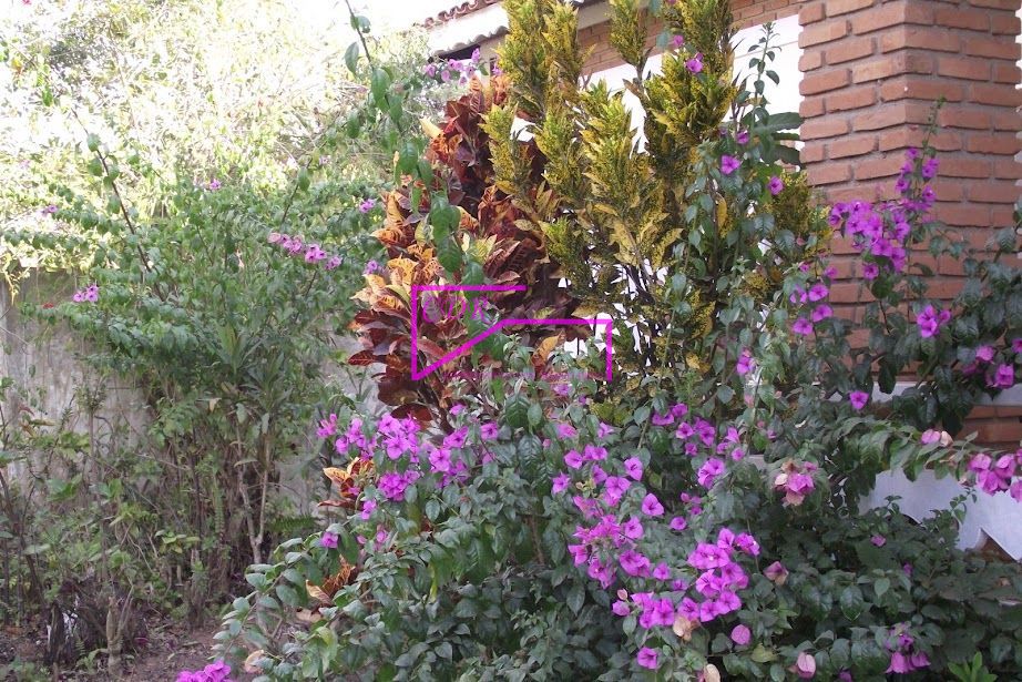 Casa, 4 quartos, 616 m² - Foto 23
