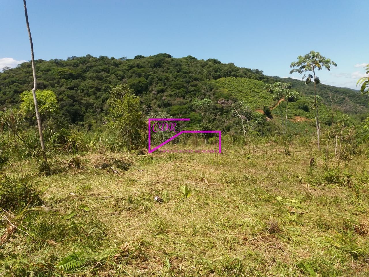 Fazenda à venda com 1 quarto, 89440m² - Foto 33