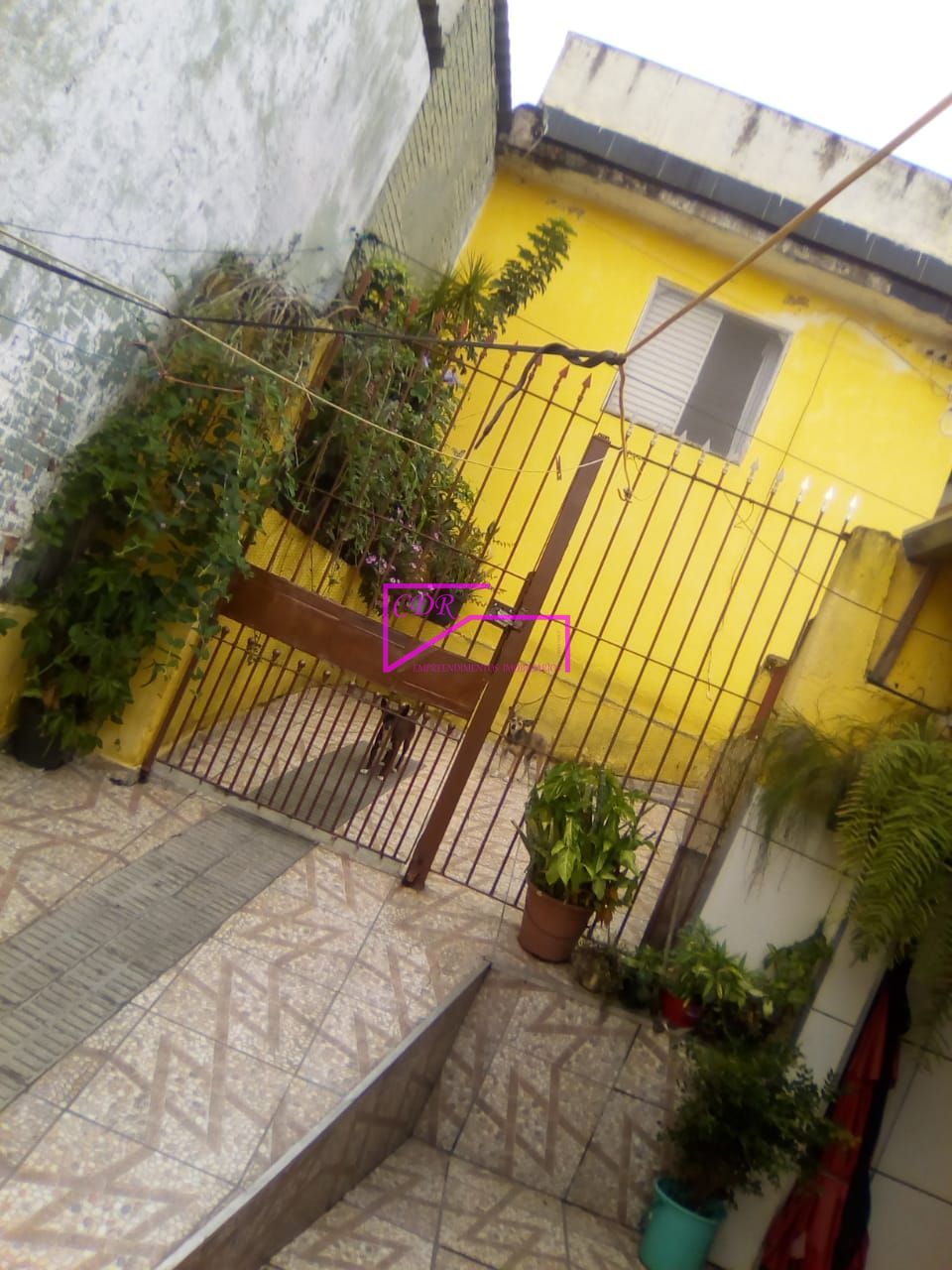 Casa, 7 quartos, 500 m² - Foto 3