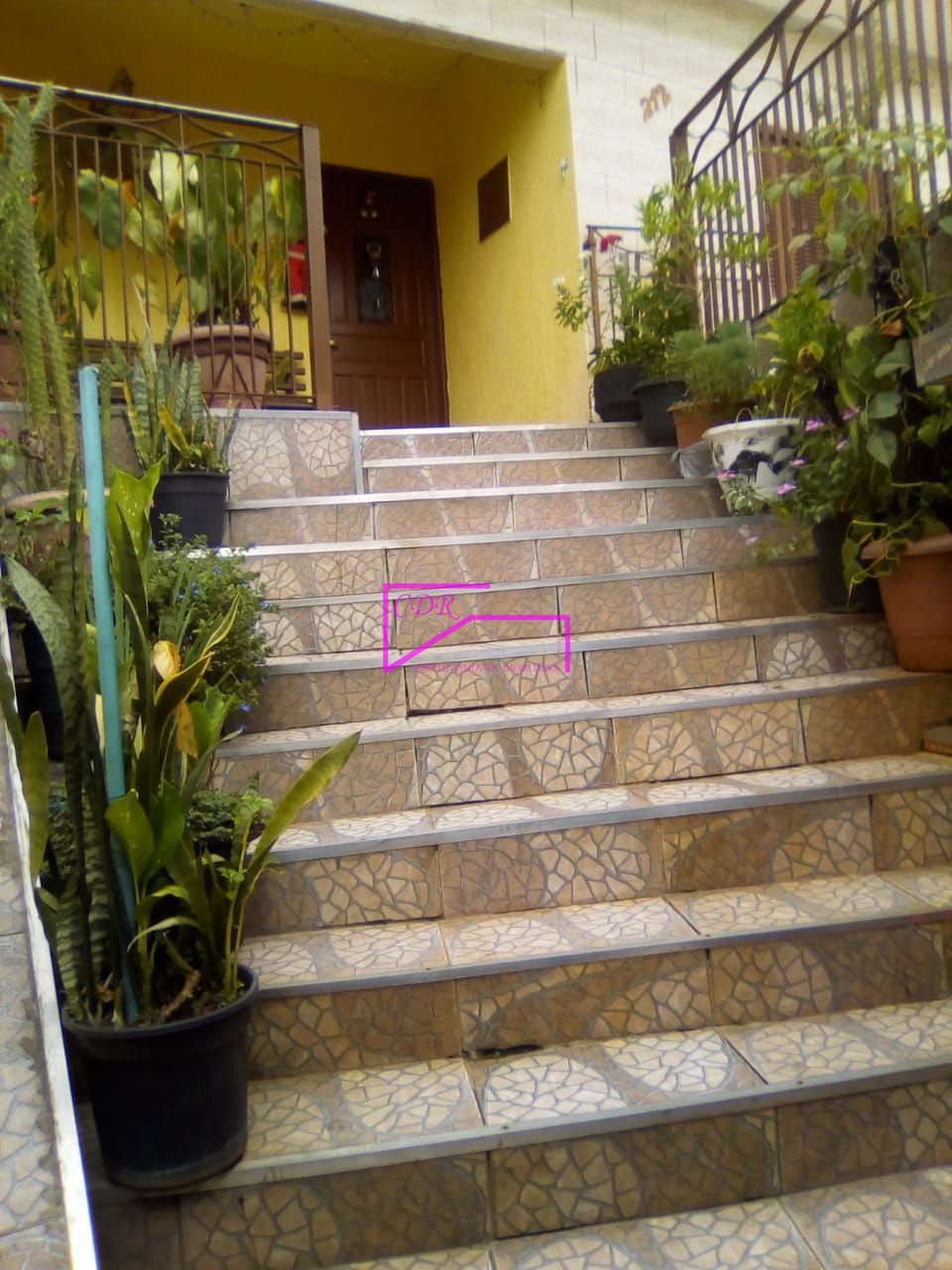 Casa, 7 quartos, 500 m² - Foto 7