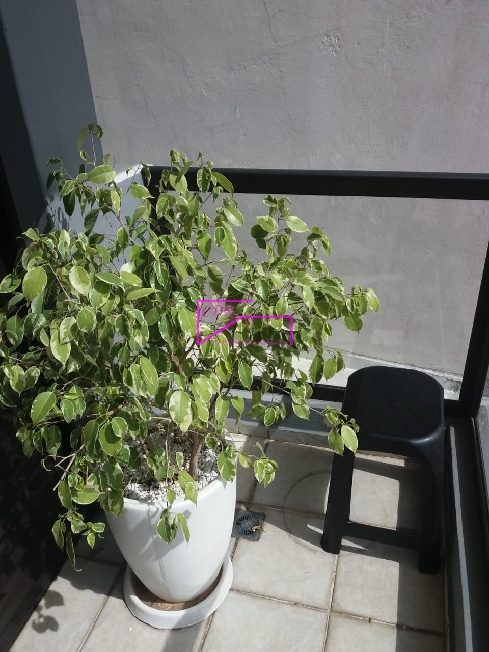 Sobrado, 3 quartos, 220 m² - Foto 7