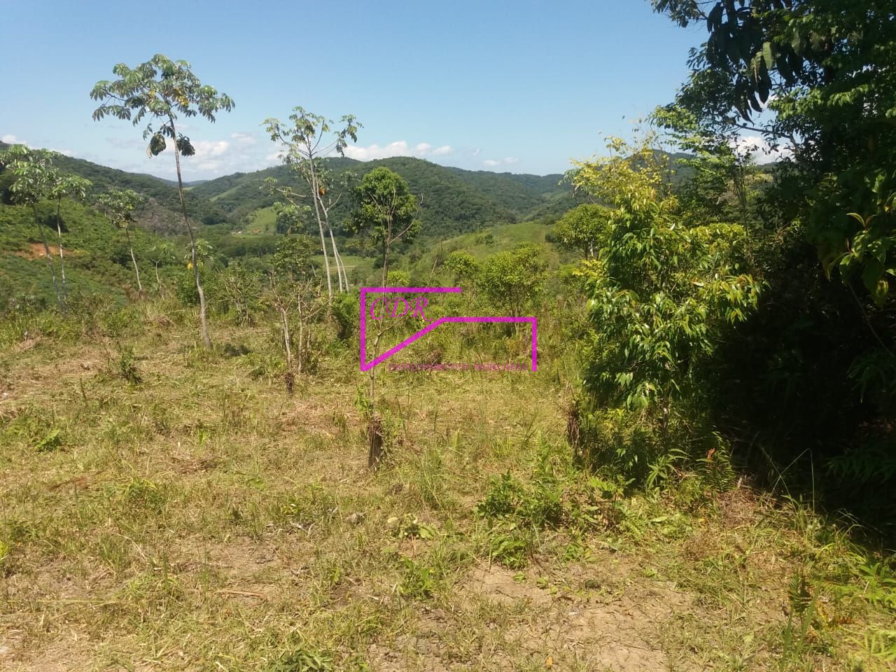 Fazenda à venda com 1 quarto, 89440m² - Foto 34