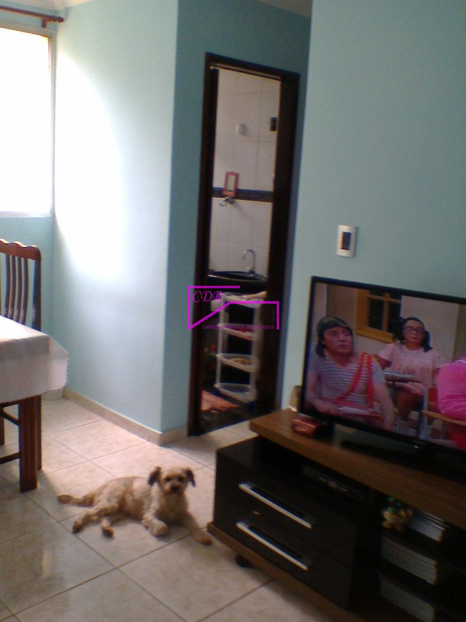 Apartamento, 2 quartos, 50 m² - Foto 3