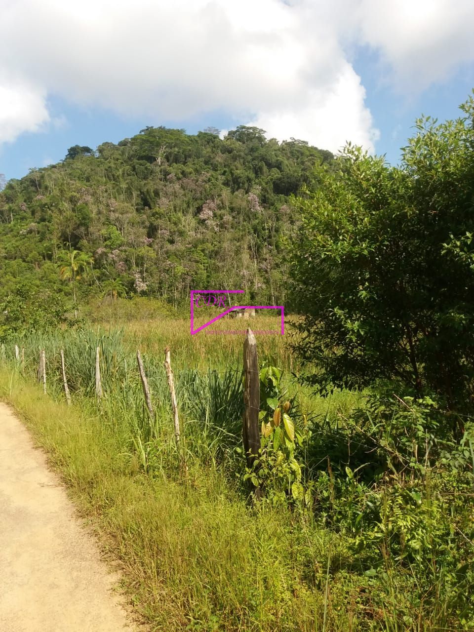 Fazenda à venda com 1 quarto, 89440m² - Foto 7