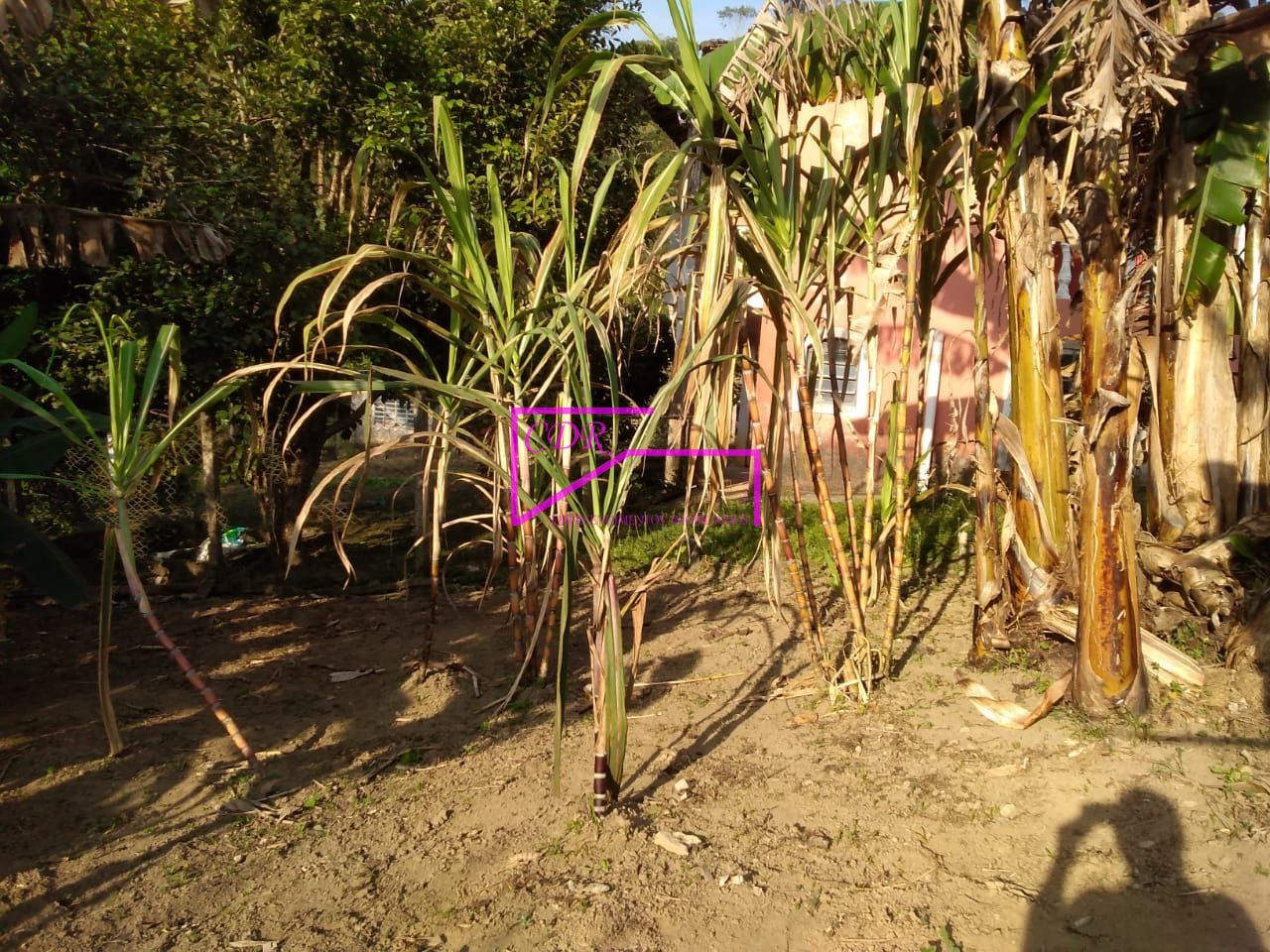 Fazenda à venda com 3 quartos, 1600m² - Foto 27