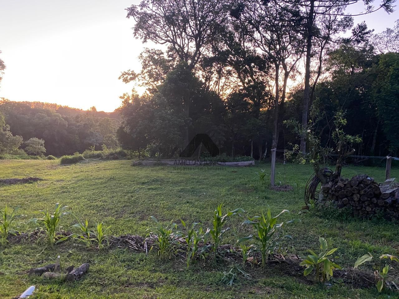 Fazenda à venda com 2 quartos, 65800m² - Foto 6