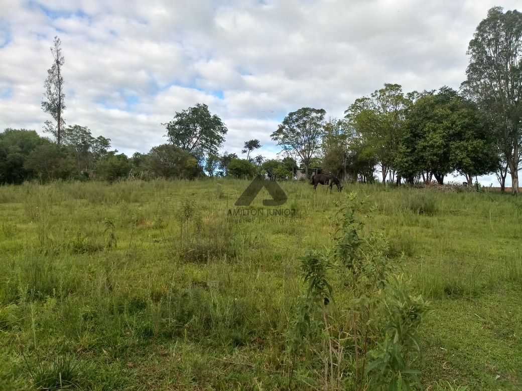 Terreno à venda, 5000m² - Foto 1