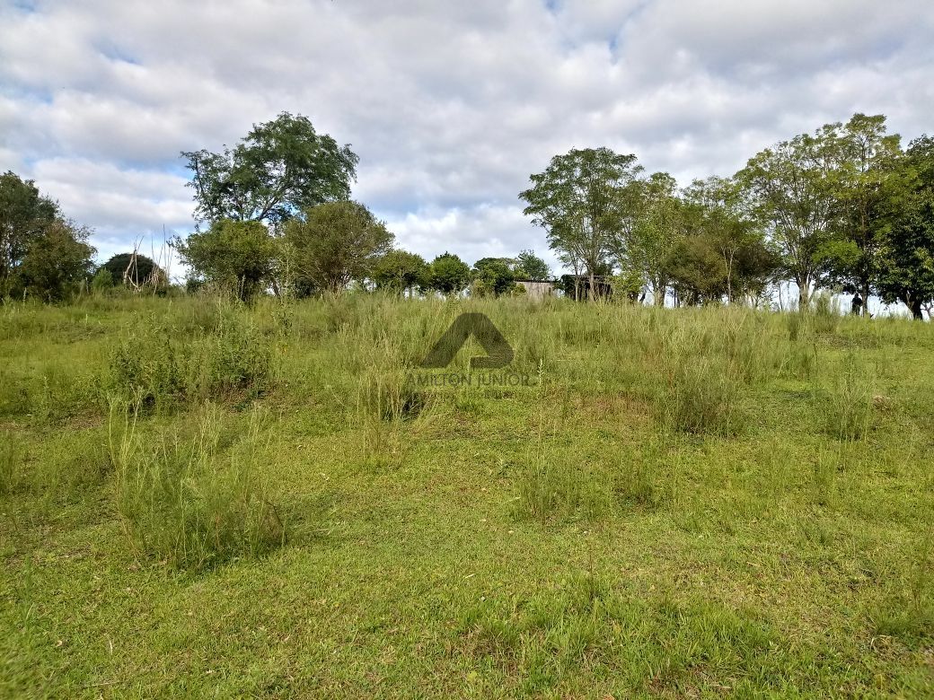 Terreno à venda, 5000m² - Foto 5