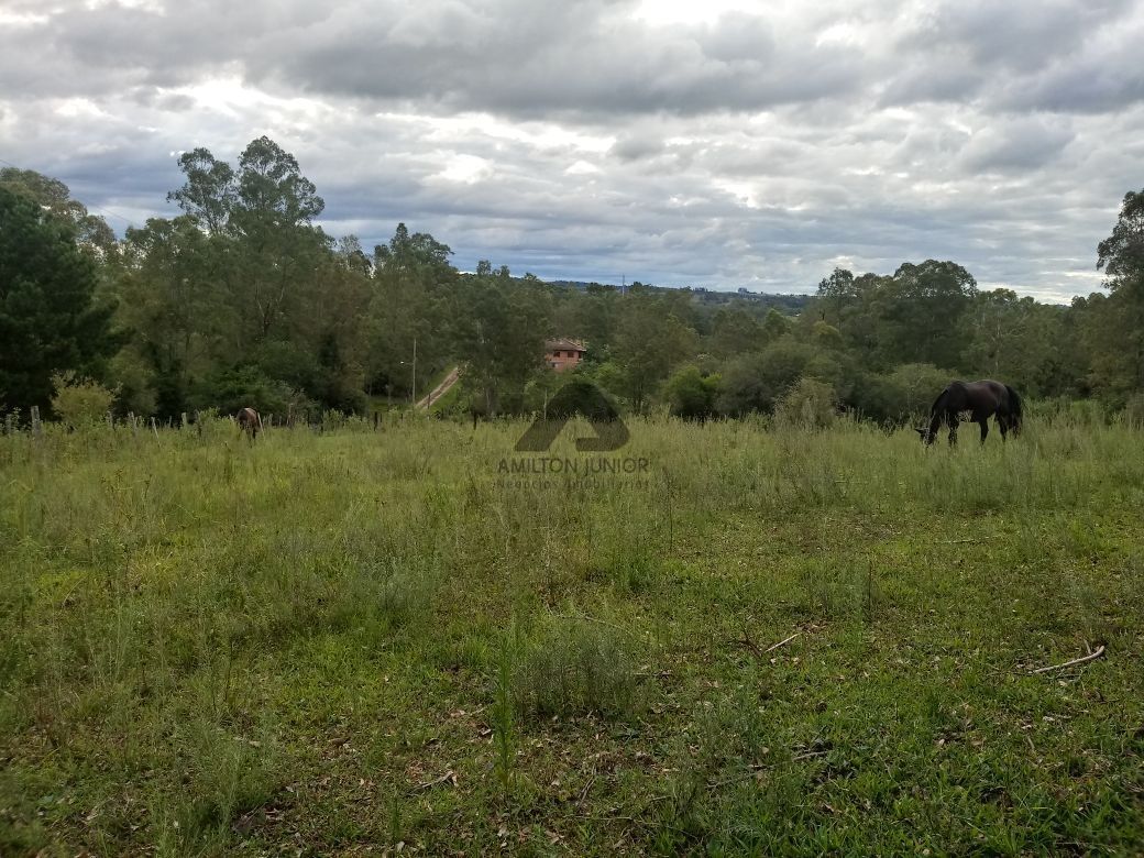 Terreno à venda, 5000m² - Foto 4