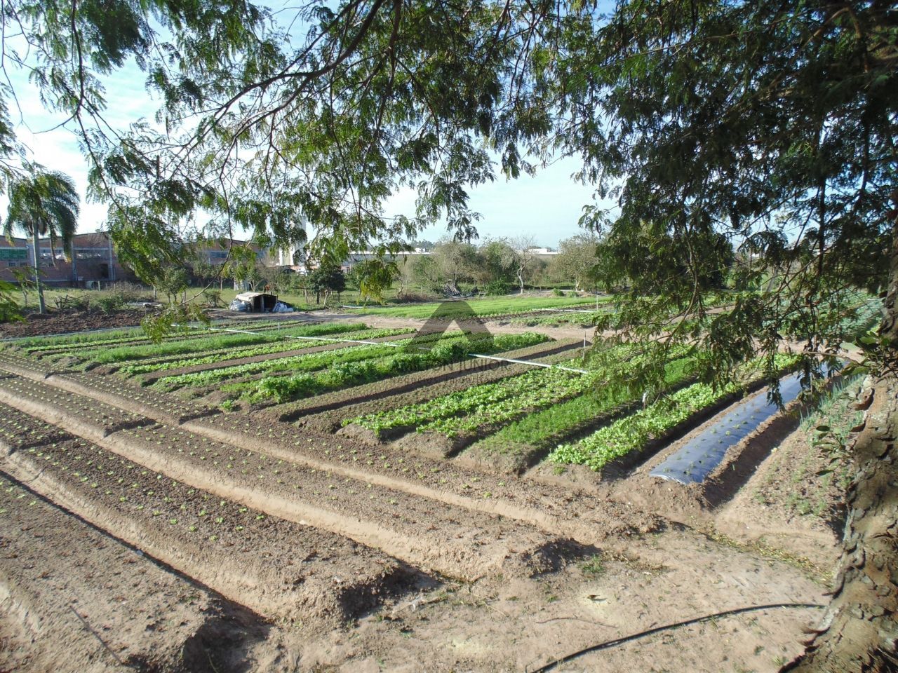 Terreno à venda, 10080m² - Foto 3