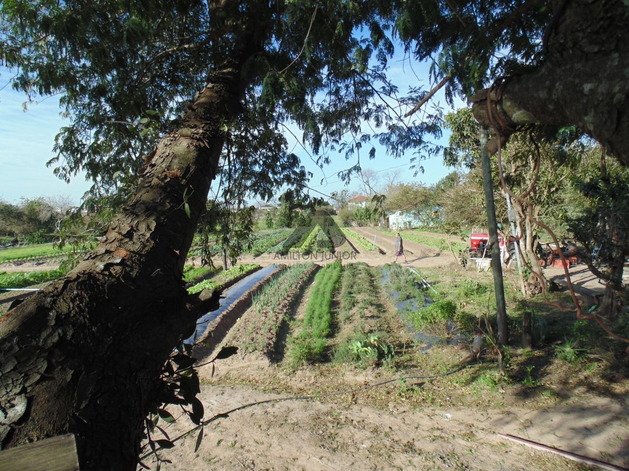 Terreno à venda, 10080m² - Foto 5