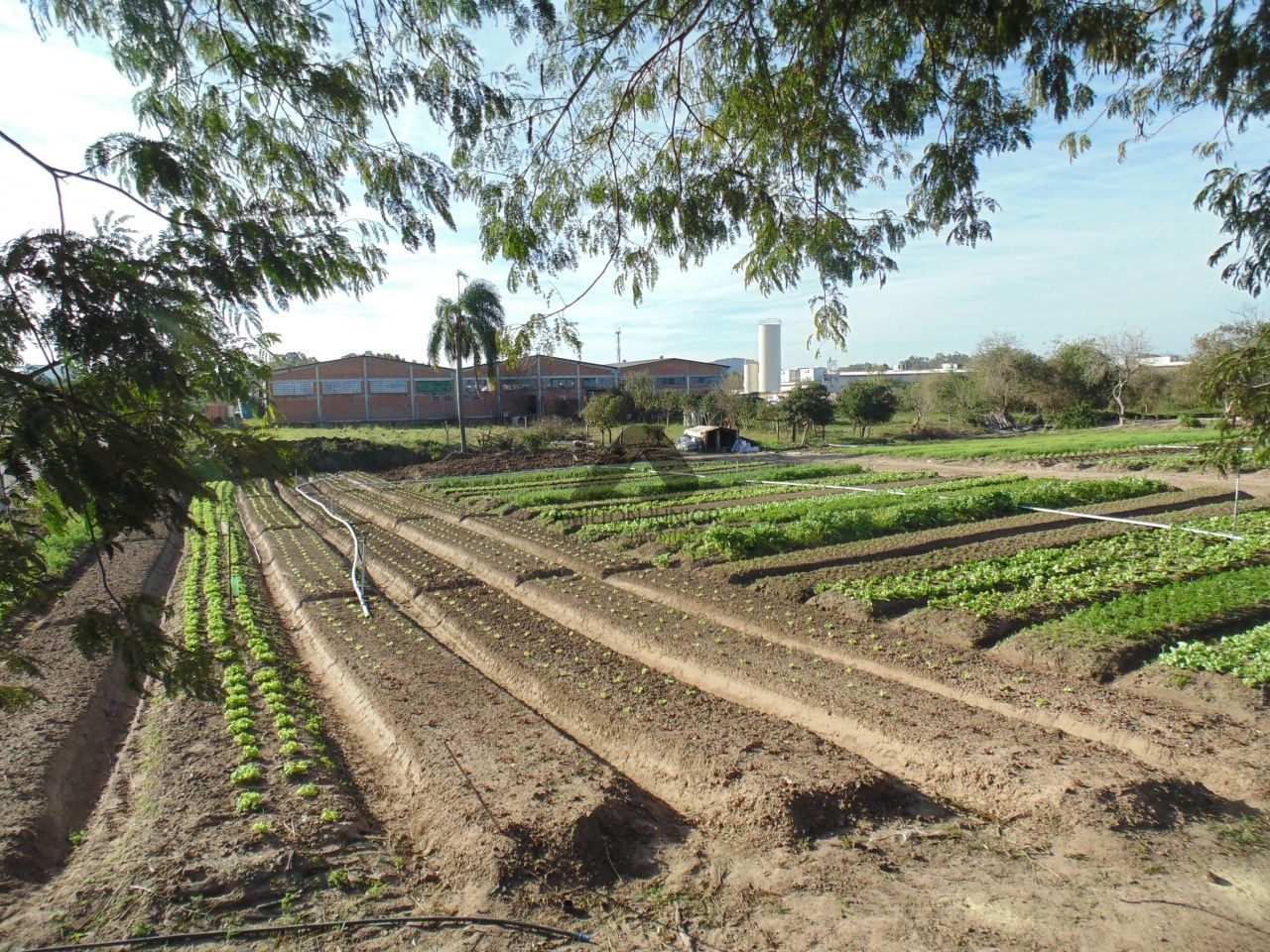 Terreno à venda, 10080m² - Foto 4