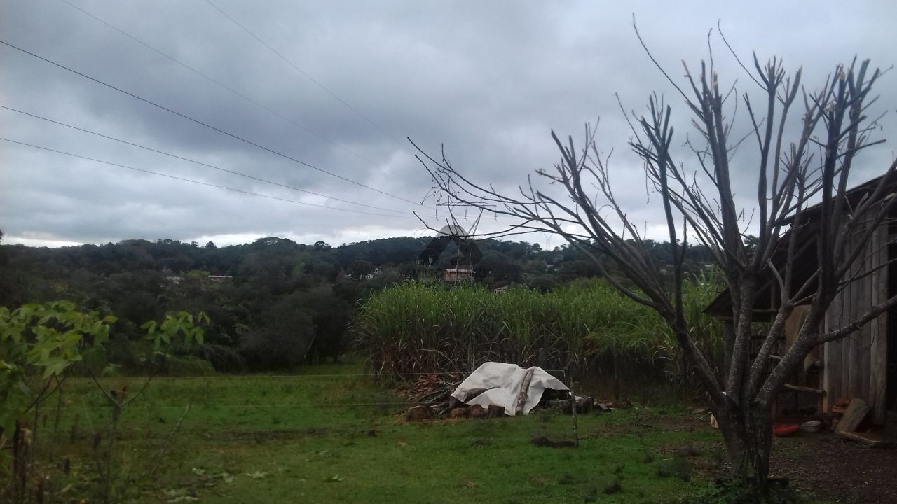 Fazenda à venda com 2 quartos, 10000m² - Foto 8