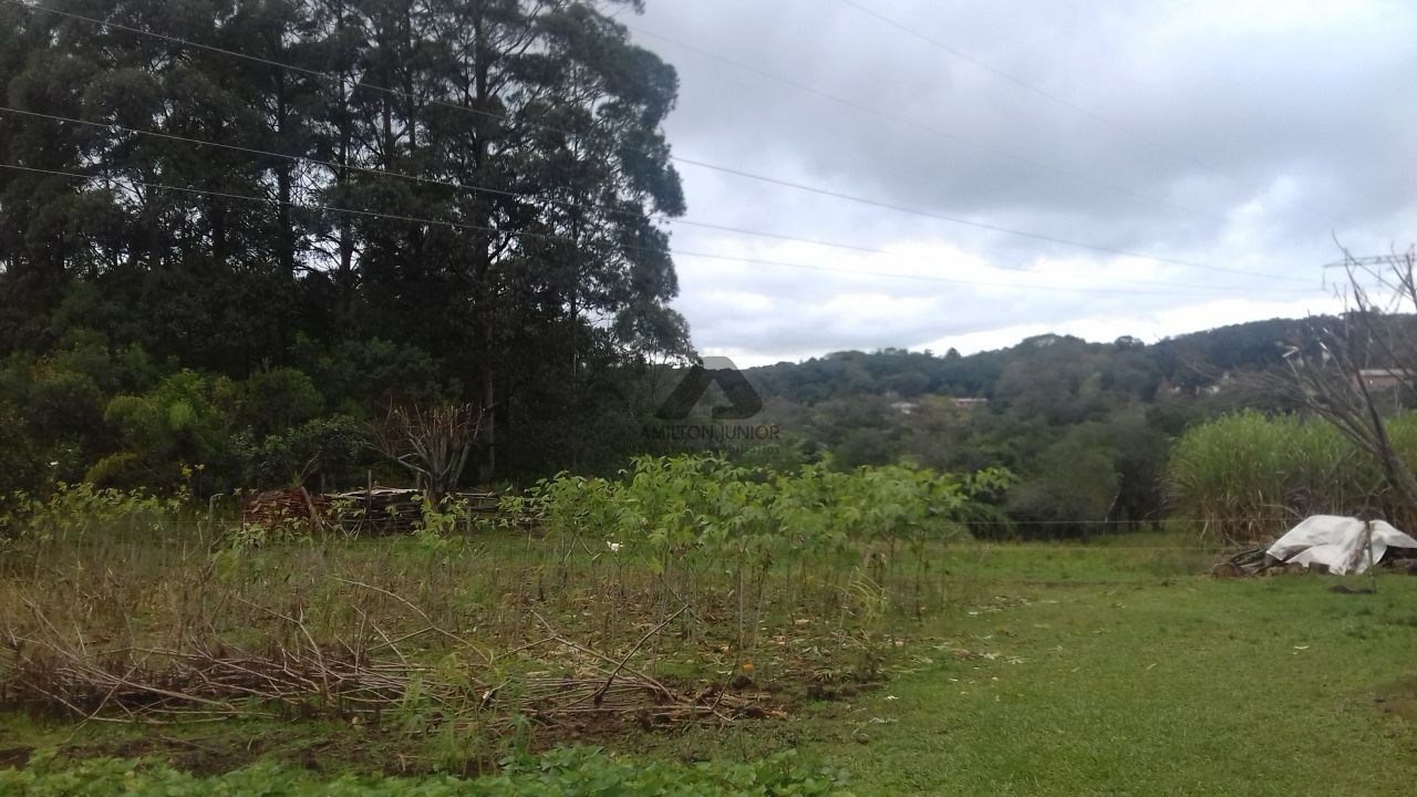 Fazenda à venda com 2 quartos, 10000m² - Foto 7