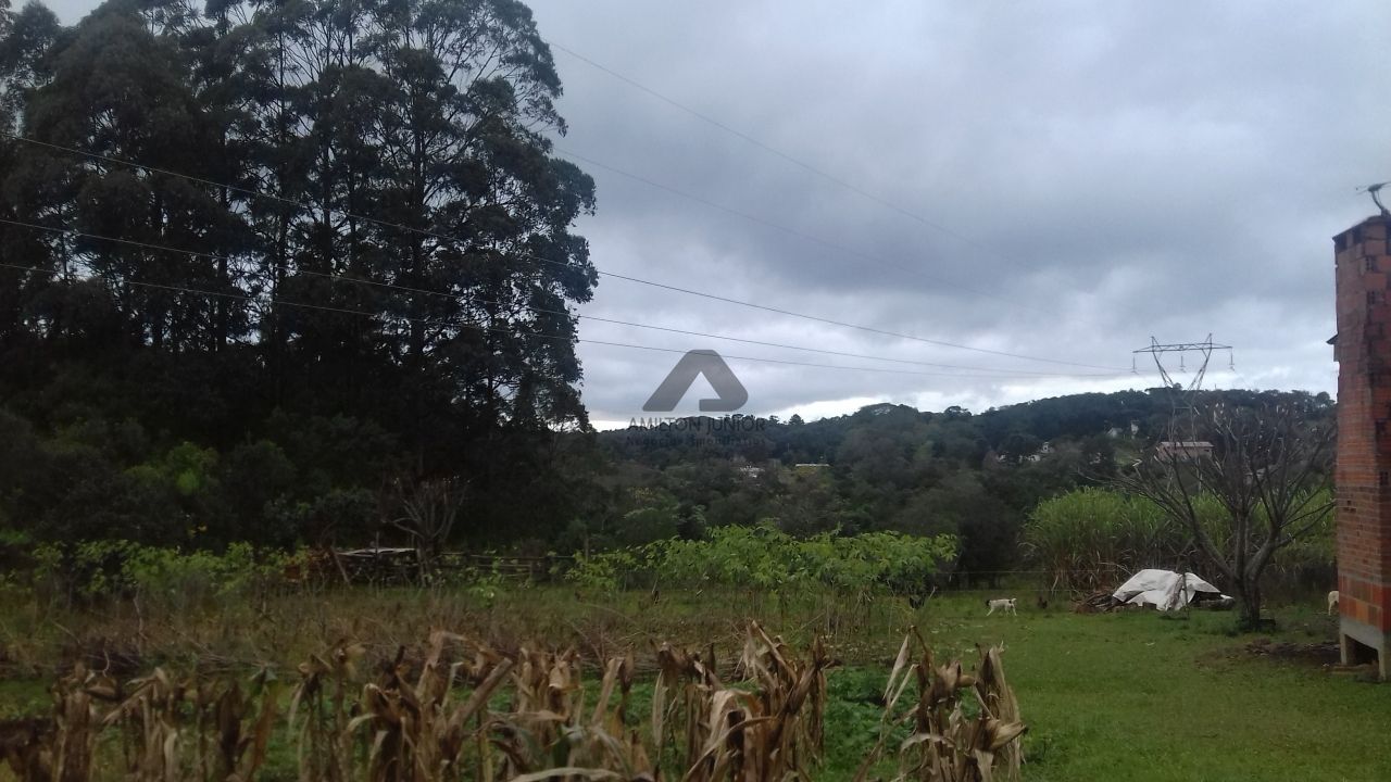 Fazenda à venda com 2 quartos, 10000m² - Foto 5