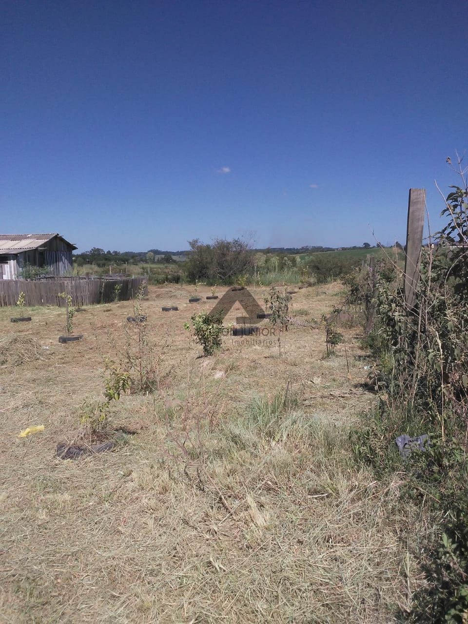 Fazenda à venda com 3 quartos, 140m² - Foto 16