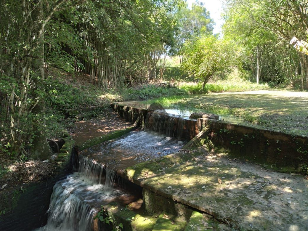 Fazenda à venda com 2 quartos, 25000m² - Foto 4