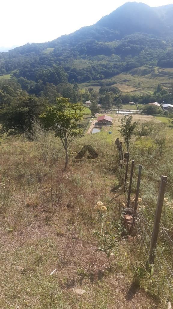 Fazenda à venda com 1 quarto, 361000000m² - Foto 11