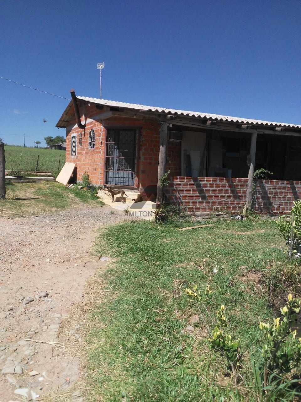 Fazenda à venda com 3 quartos, 140m² - Foto 13