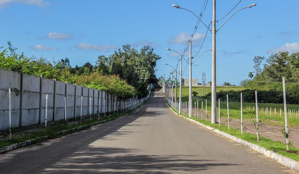 Terreno à venda, 350m² - Foto 6