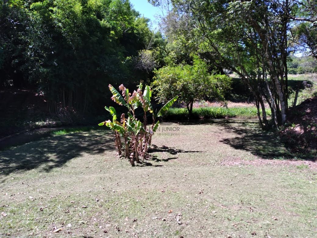 Fazenda à venda com 2 quartos, 25000m² - Foto 8