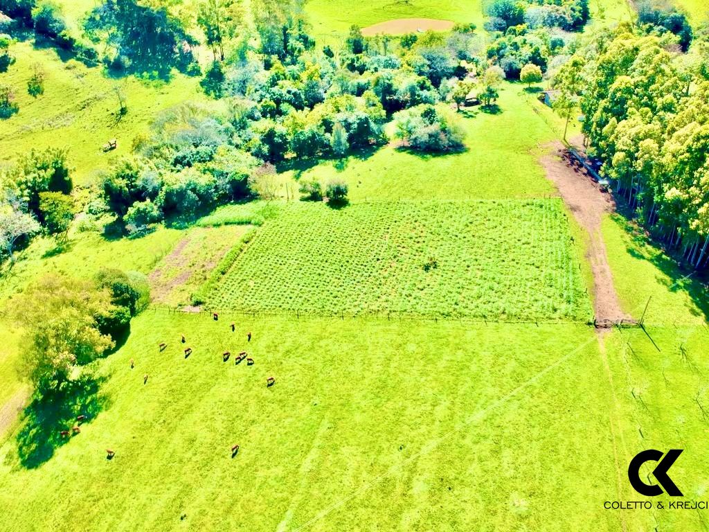 Fazenda à venda com 4 quartos, 240000m² - Foto 26