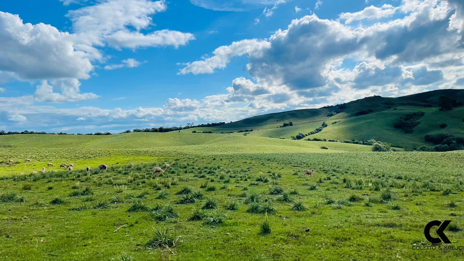 Fazenda, 520 hectares - Foto 1