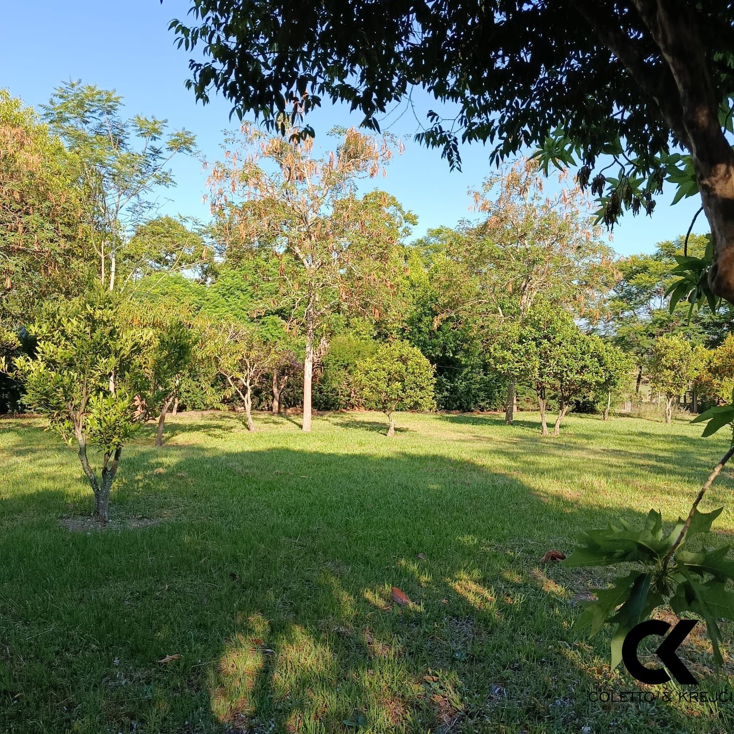 Sítio, 2 quartos, 2 hectares - Foto 14