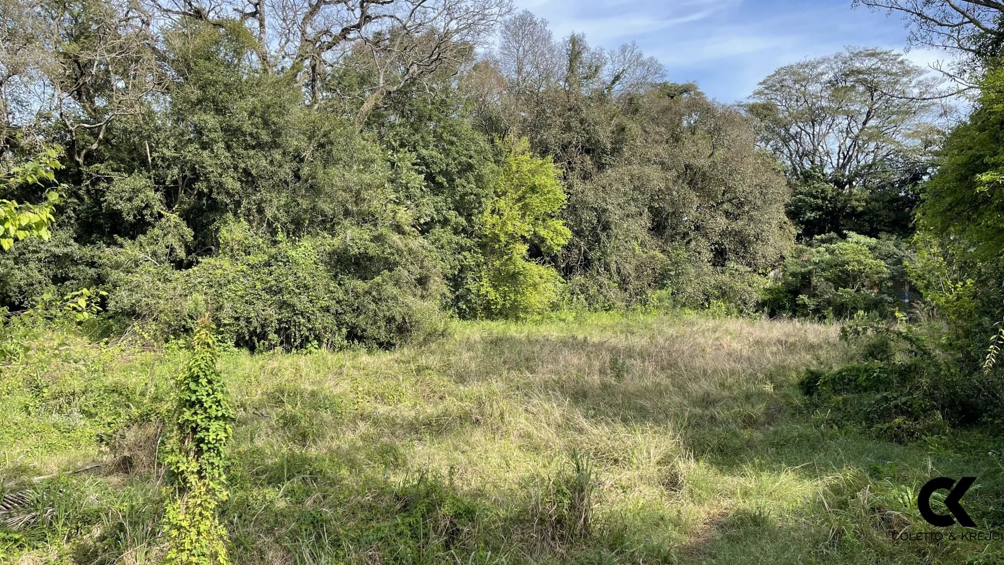 Terreno, 3548 m² - Foto 3