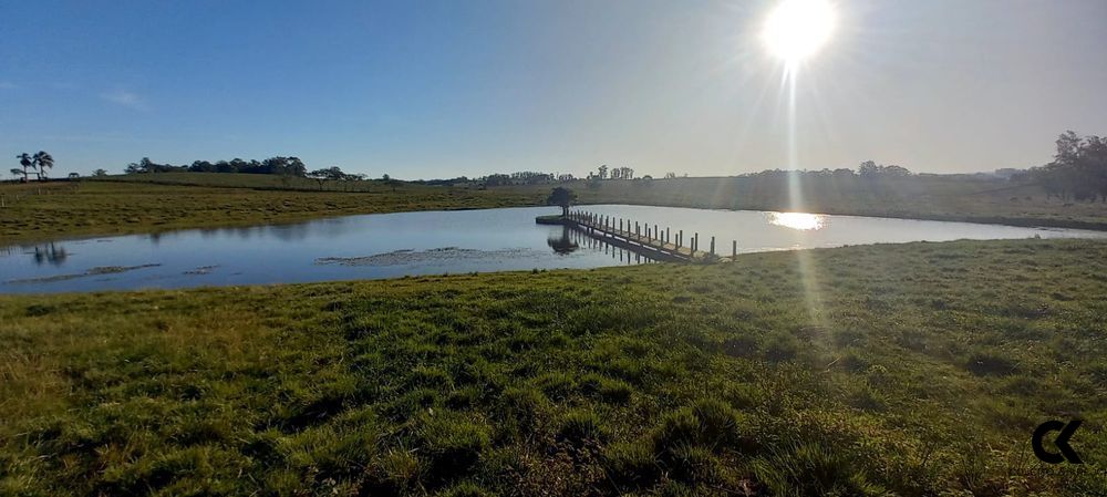 Fazenda, 7 hectares - Foto 19