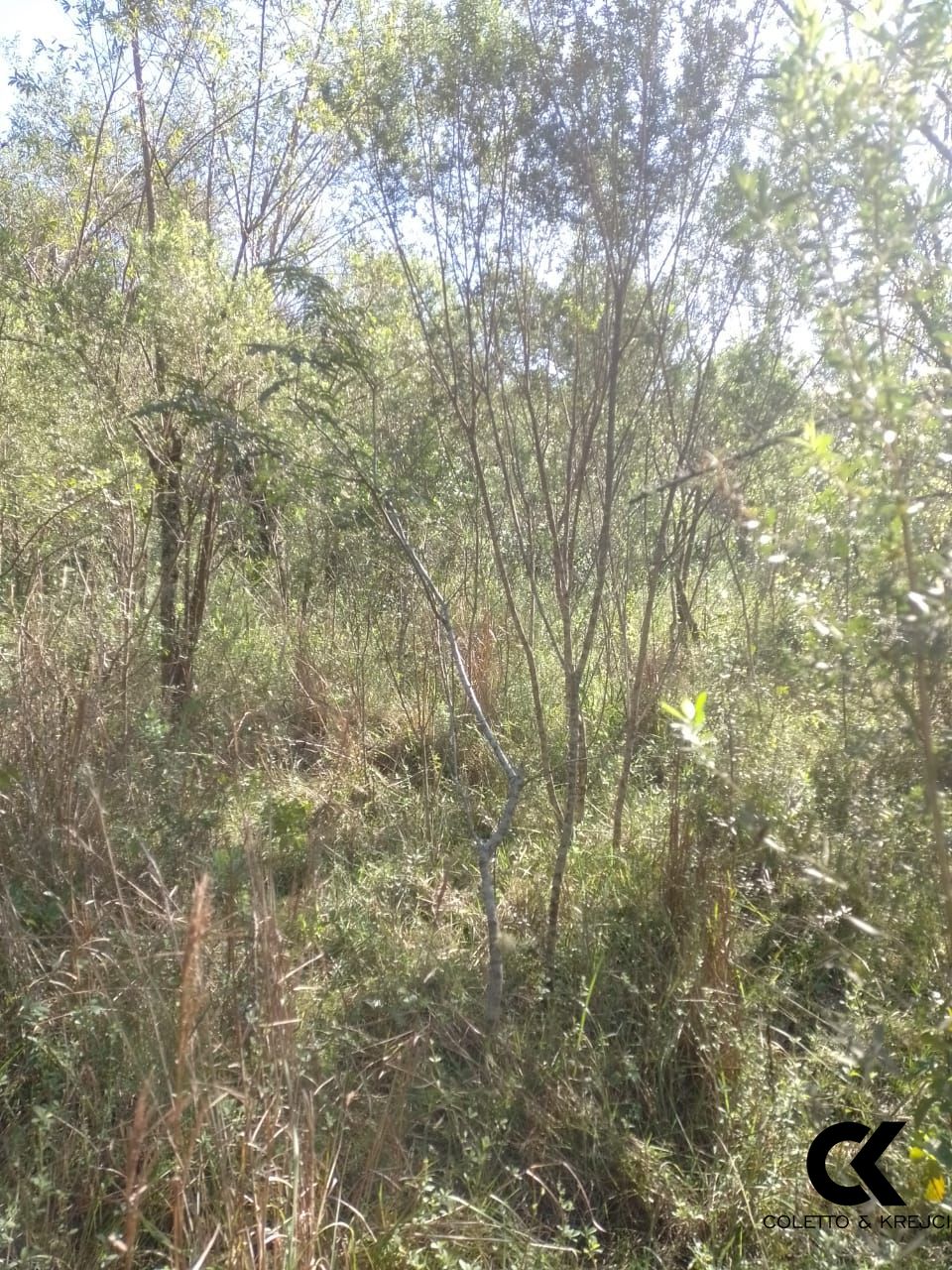 Loteamento e Condomínio à venda, 640000m² - Foto 20