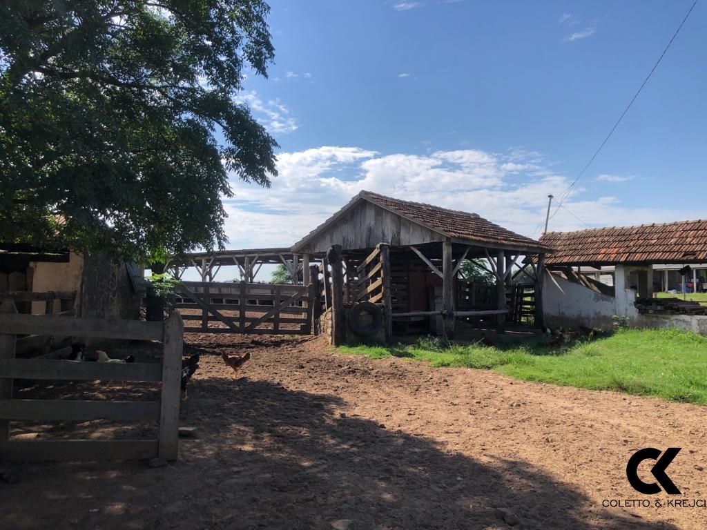 Fazenda à venda com 3 quartos, 32750000m² - Foto 9