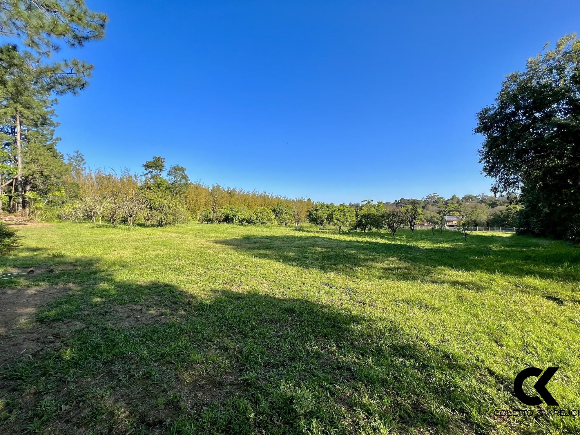 Fazenda à venda com 3 quartos, 242m² - Foto 9